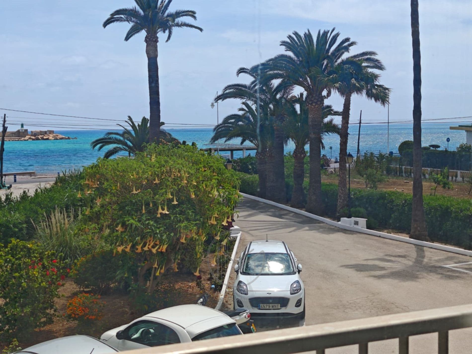 PRIMERA LINEA ALTEA/ALBIR - 2